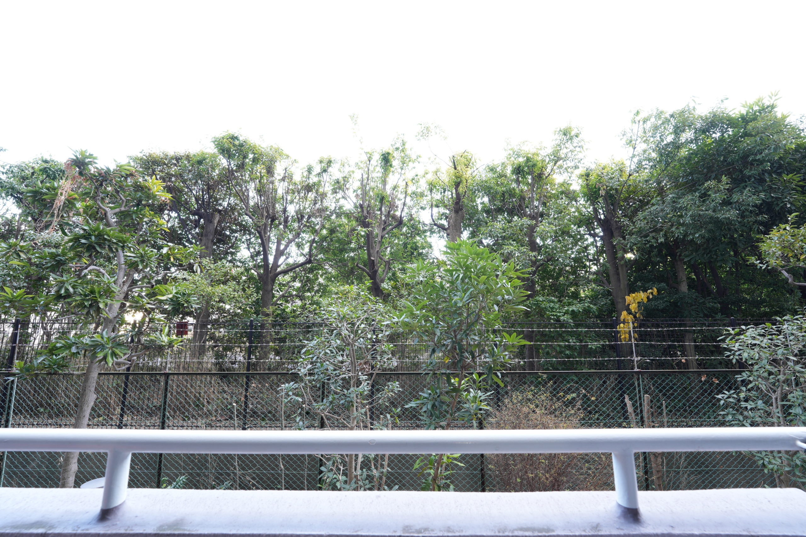 住戸からの眺望写真