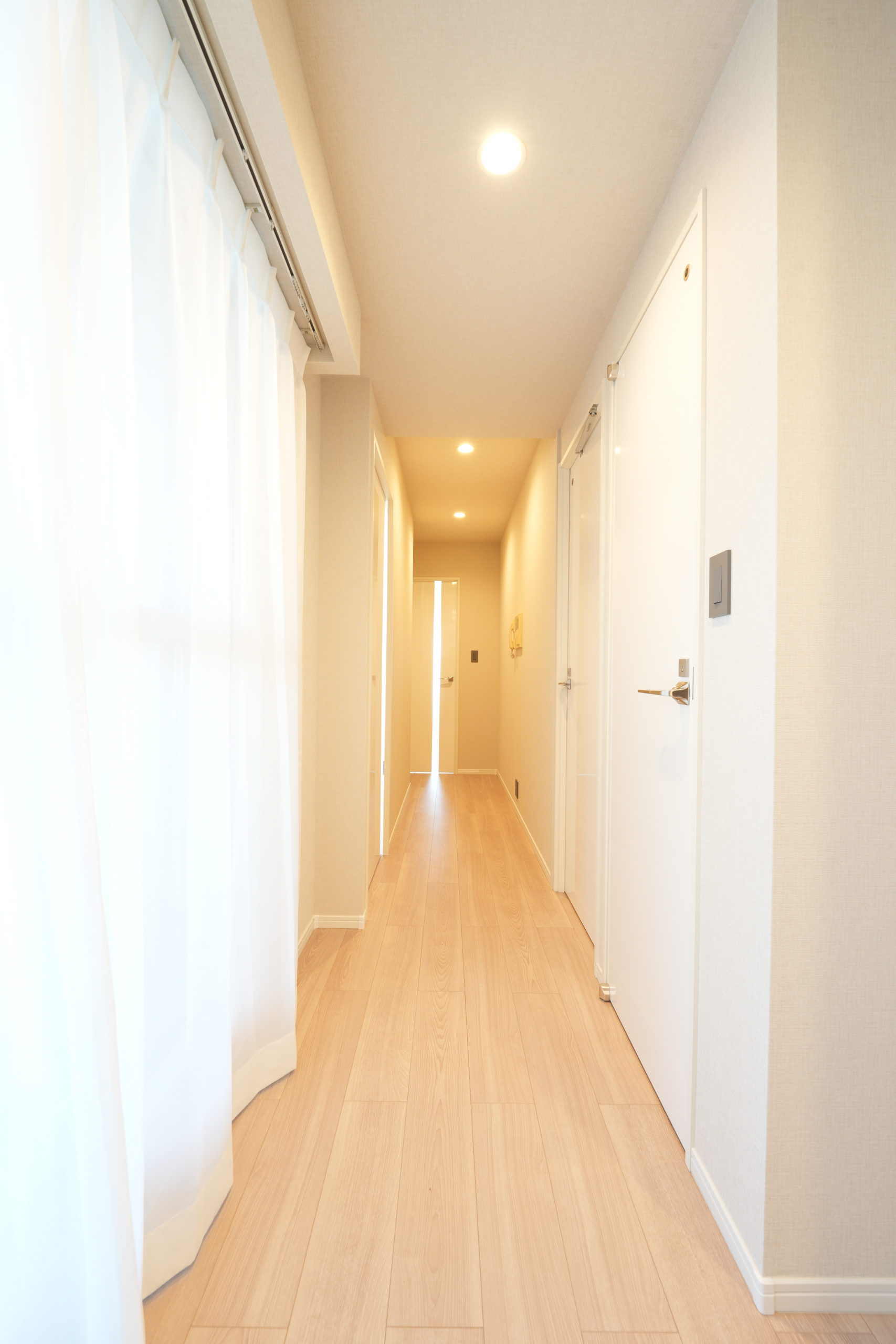 ※現況写真(2026年2月初旬撮影)